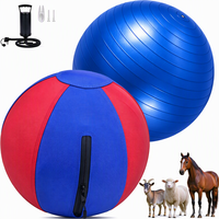 Ballon de dressage anti-éclatement avec housse en nylon amovible, ballon de jeu gonflable double couche 18/22/25 pouces