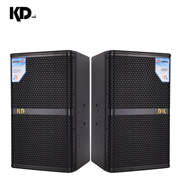 AK-12 Professional 12" Plywood Full Range Speaker, Great Sound for KTV, Bar and Private Club Fixed Installation
