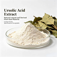 Acide Ursolique en Gros de Haute Pureté, Extrait Végétal, Matière Première CAS 77-52-1 pour la Fabrication de Formulations Cosmétiques Industrielles