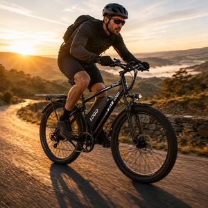 Bicicleta eléctrica de montaña DM427 al por mayor, 750W, 48V27AH, 27.5 pulgadas, 108 km de autonomía, sensor de torque, Cruiser eBike - Product Image 1