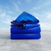 Bâche en PVC tissée enduite de PE, robuste, imperméable et polyvalente, pour camion, camping et extérieur, en rouleau, de la marque YRH Factory