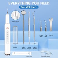 Nettoyeur dentaire à lumière LED rechargeable, kit de blanchiment des dents à domicile, détartreur électrique multifonctionnel