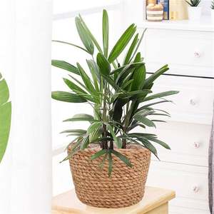 Бамбуковая складная корзина из ротанга (Вьетнам), большие корзины для белья в стиле бохо, деревянные переносные корзины (Индонезия), на заказ - Product Image 4