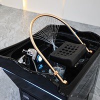 Équipement de salon de luxe : Bac de lavage de cheveux mobile et portable avec réservoir d'eau, sans plomberie, pour spa capillaire