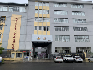 Jouets scientifiques pour enfants nouvelle énergie véhicule blocs électroniques feux de circulation tige jouets expérience scientifique projecteur lumières - Product Image 3