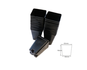 Vuông nhựa mọng nước Chậu hoa Chậu & trồng - Product Image 5