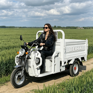Scooter Eléctrico de Tres Ruedas BEIHAI 2026, Mini Scooter Económico de 60V 2000W, Triciclo de Pasajeros de 3 Ruedas para Adultos - Product Image 4