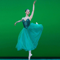 Jupe longue en gaze émeraude pour enfants, costume de danse moelleux pour spectacle, tenue professionnelle de performance