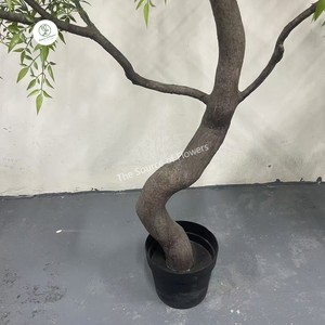 <span class=keywords><strong>Nandina</strong></span> 180-250cm olivier artificiel intérieur décoration de maison et d'hôtel 8ft-10ft matière plastique - Product Image 3