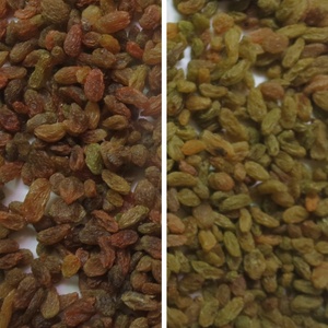 Pagamento a Rate Disponibile per Macchina Selezionatrice di Colore ad Alta Precisione 6SXZ-68 per Frutta, Verdura, Uva Passa, Showroom, Magazzino - Product Image 4