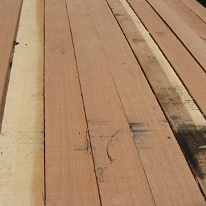 Structural Kempas <b>Timber</b> (High Strength) - Product Image 6