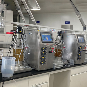 Innova Mini biorreactor de vidrio personalizable, fermentador, <span class=keywords><strong>autoclave</strong></span> OEM, esterilizado, agitación mecánica, cultivo celular, microbiología, 1-10L - Product Image 5