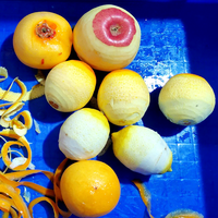 Industriële citrusvruchten schilmachine van roestvrij staal SUS304 voor sinaasappels, citroenen, passievruchten en appels.