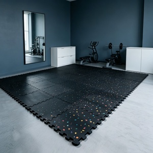 INOLP utilise les tapis de sol en caoutchouc, les revêtements de sol en caoutchouc et les dalles en caoutchouc pour les gymnases et les salles de sport. - Product Image 4