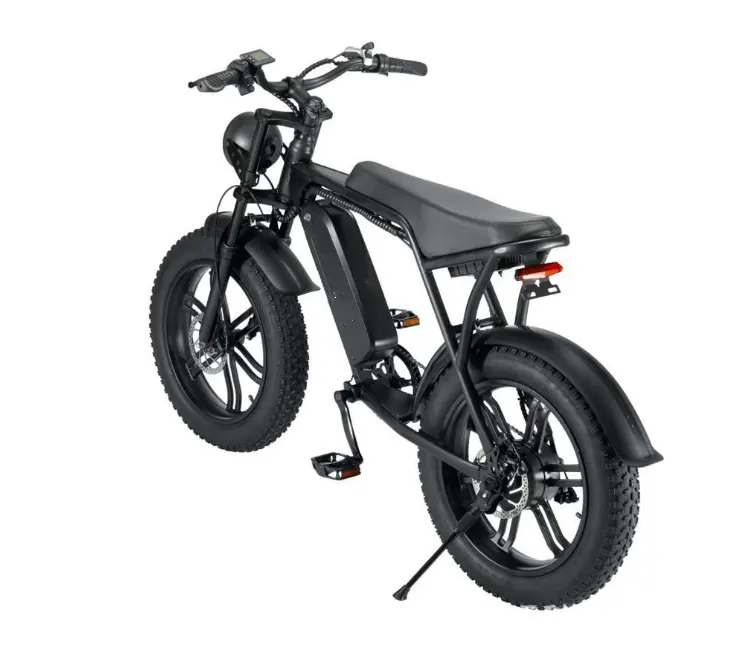 Factory supplying 20-inch fat tire snow electric bicycle variable speed folding power beach lithium battery mountain bike