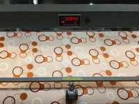 Nouveaux designs, prix abordable, 100% polyester microfibre, impression par dispersion pour draps de lit, vente en gros avec usine de tissage propre