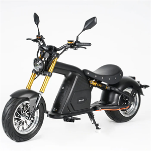 Pour moto électrique vintage Scooter M8S 4000W 48V Moins de 40 km/h - Product Image 1
