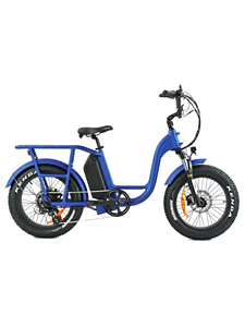 Bici elettrica <span class=keywords><strong>OTM</strong></span> 20 pollici bici elettrica 48V 750W mozzo posteriore motore consegna Fast Food bici elettrica - Product Image 3