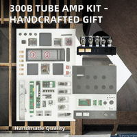 Kit Amplifier Tabung Vakum Factory 300B DIY, Kit Amplifier Tabung Lengkap Belum Terpasang Dengan Tabung dan Transformator Daya