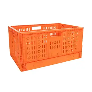 Hot bán tùy chỉnh gấp hộp có thể gập lại hộp nhựa gấp Pallet Crate xách tay PP Crate