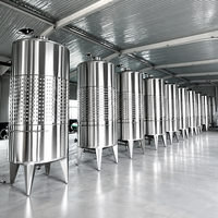 Cuve de Fermentation Conique Mini 200L 300L en SUS304 Qualité Alimentaire à Double Enveloppe pour Bière et Vin
