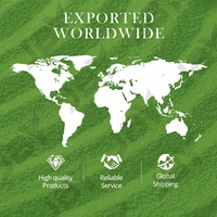 JBY EU Biologique Marque Blanche 2g/capsule Extrait de Thé Vert Matcha de Qualité Cérémoniale Poudre de Thé Instantané Bouchons de Bouteille de Thé