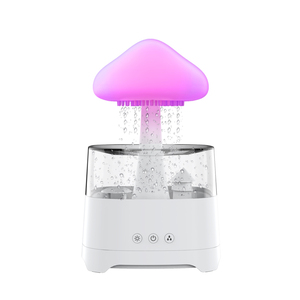 2024 OEM Logo luce notturna olio essenziale diffusore Aroma grande capacità pioggia nuvola umidificatore acqua gocciolamento fungo umidificatore - Product Image 1