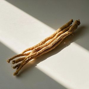 Dang Shen Organic Codonopsis Pilosula Spice Alta Qualidade Rica Nutrição Codonopsis Segmento Raiz - Product Image 2