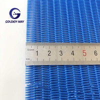 Courroie de maille de filtre-presse de polyester disponible personnalisée maille sèche en spirale utilisée comme bande transporteuse et ceinture de machine à plastifier