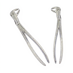 BK Industries Forceps d'extraction dentaire en acier inoxydable, modèle américain, pour molaires inférieures et dents de sagesse, côté gauche # Poignée moletée 22 12L - Product Image 3