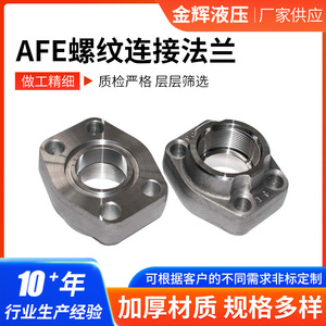 Raccord de transition GSF à douille filetée 24 degrés en acier inoxydable Jin Hui, connexion AFE, bride SAE Grade A - Product Image 5