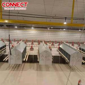 Strato di pollame manuale pollaio gabbia pollaio pollaio capannone fattoria casa allevamento attrezzature per la raccolta di uova per piccole linee di sistema di allevamento - Product Image 6