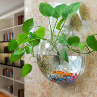 Aquarium mural en acrylique transparent, vase suspendu pour plantes, décoration murale pour la maison, pot hydroponique pour plantes vertes