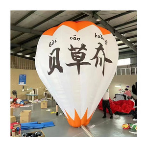 Mongolfiera Gonfiabile Bicolore con Bordo Ondulato per Decorazione Check-in Città Balnearia - Product Image 1
