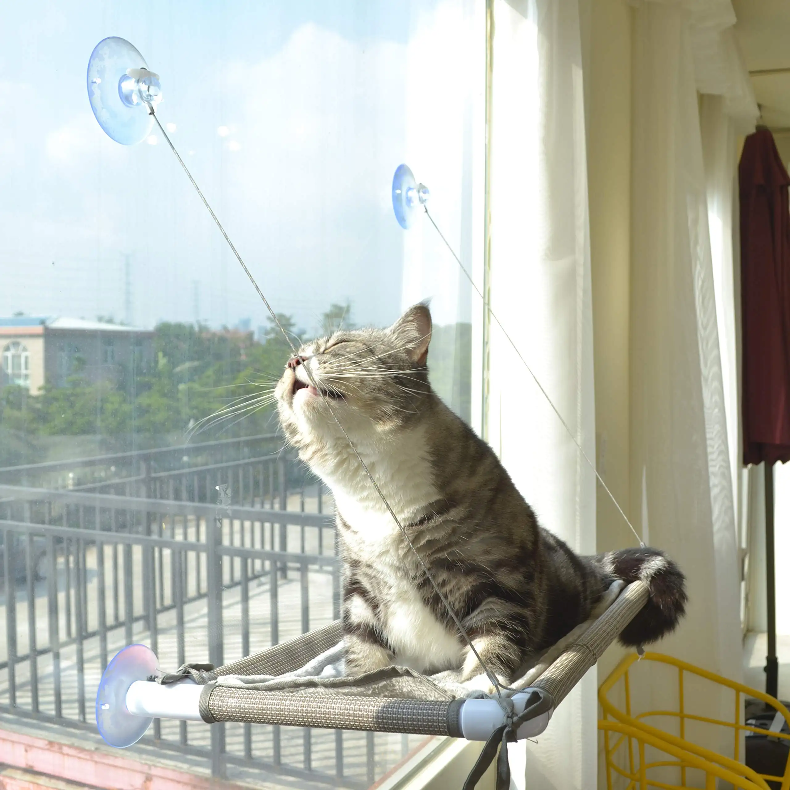 Cama luxuosa para gatos, janela de gato para animais de estimação, poupamento de espaço, segurança, janela montada, rede, cama para gatos