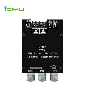 Bo mạch khuếch đại âm thanh chuyên nghiệp TS-1002T tùy chỉnh, sử dụng tại nhà, công suất 100W*<span class=keywords><strong>2</strong></span>, điều chỉnh cao/thấp FM, công suất đầu ra 30W - Product Image 1