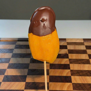 Custom Packaging Chocolate Dipped Dried Mango | OEM/ODM Private <b>Label</b> Healthy Fruit Snacks - Product Image 1