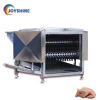 Machine à plumer automatique pour balles de volaille, nouvelle pince à plumes de poulet pour scintillant