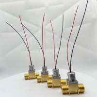 Transl 1/ 2 pouces DC 3 V 6 V électrovanne d'eau à impulsion en laiton bistable basse pression pour système de robinet intelligent