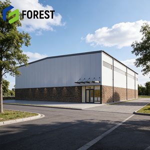 Diseño de Estructura de Acero Duradera y Construcción de Instalaciones Recreativas Sostenibles con Panel Sándwich Aislado para el Mercado Estadounidense - Product Image 1