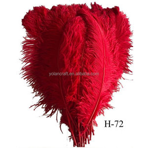 <span class=keywords><strong>Piume</strong></span> <span class=keywords><strong>di</strong></span> struzzo <span class=keywords><strong>di</strong></span> alta qualità 45 50 60 cm, <span class=keywords><strong>ali</strong></span> soffici <span class=keywords><strong>bianche</strong></span> rosse nere per Carnevale, festival, feste, matrimoni, decorazioni per vasi, tinte - Product Image 2