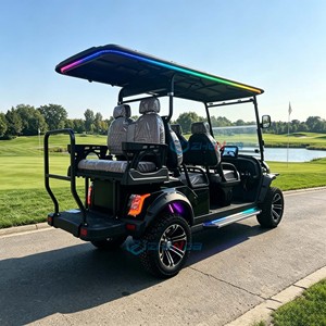 High-efficiency Multi-functional 6-seat Black Gasoline Golf Cart LED Light <b>Strip</b> 30-50Km/h 90km Range Four Wheel - Product Image 5