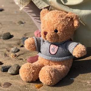 IStapromo Regalos Cuddle Bear Doll <span class=keywords><strong>Acompañar</strong></span> Vestido de dormir Bear Rag Doll Peluche Juguete de regalo al por mayor - Product Image 5