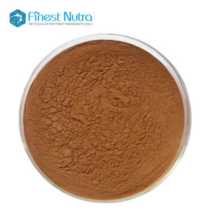 Extracto de Melena de León (Cantarilla) en Polvo, 10% Polisacáridos, Extracto de <span class=keywords><strong>Cantharellus</strong></span> <span class=keywords><strong>Cibarius</strong></span> - Product Image 3