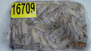 حبار كاليفورنيا المجمد - Product Image 3