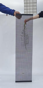 <span class=keywords><strong>Invisible</strong></span> LED Movie Mall Interior Transparente Publicidad P3.91 LED Pantalla holográfica - Product Image 5