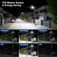 Lampadaire Solaire OEM ODM en ABS 300W, Étanche IP65, avec PIR, en Plastique, 5730 LED Haute Luminosité pour Projets Routiers et Municipaux