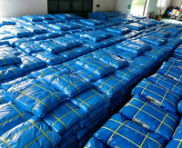 Bâche de sol dédiée pour le camping en extérieur en Afrique, bâche tissée imperméable en PE bleu enduit Linyi pour utilisation automobile