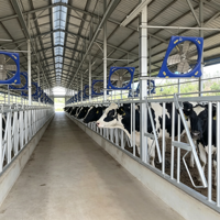 Poteau de retenue pour vaches en tube à paroi épaisse antirouille, ultra longue durée de vie, durable, pour installations d'élevage