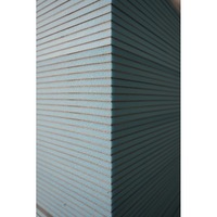 Panneau de support de carrelage XPS résistant à la moisissure, substrat mural de salle de bain anti-humidité, panneau isolant en mousse antibactérienne prêt à poser B1